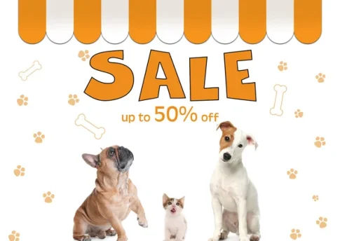 depositphotos_619775598-stock-photo-advertising-poster-pet-shop-sale